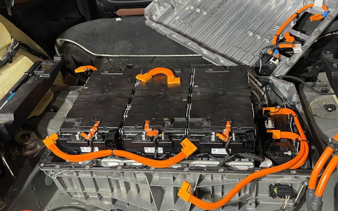 REPORTAJE LA VANGUARDIA